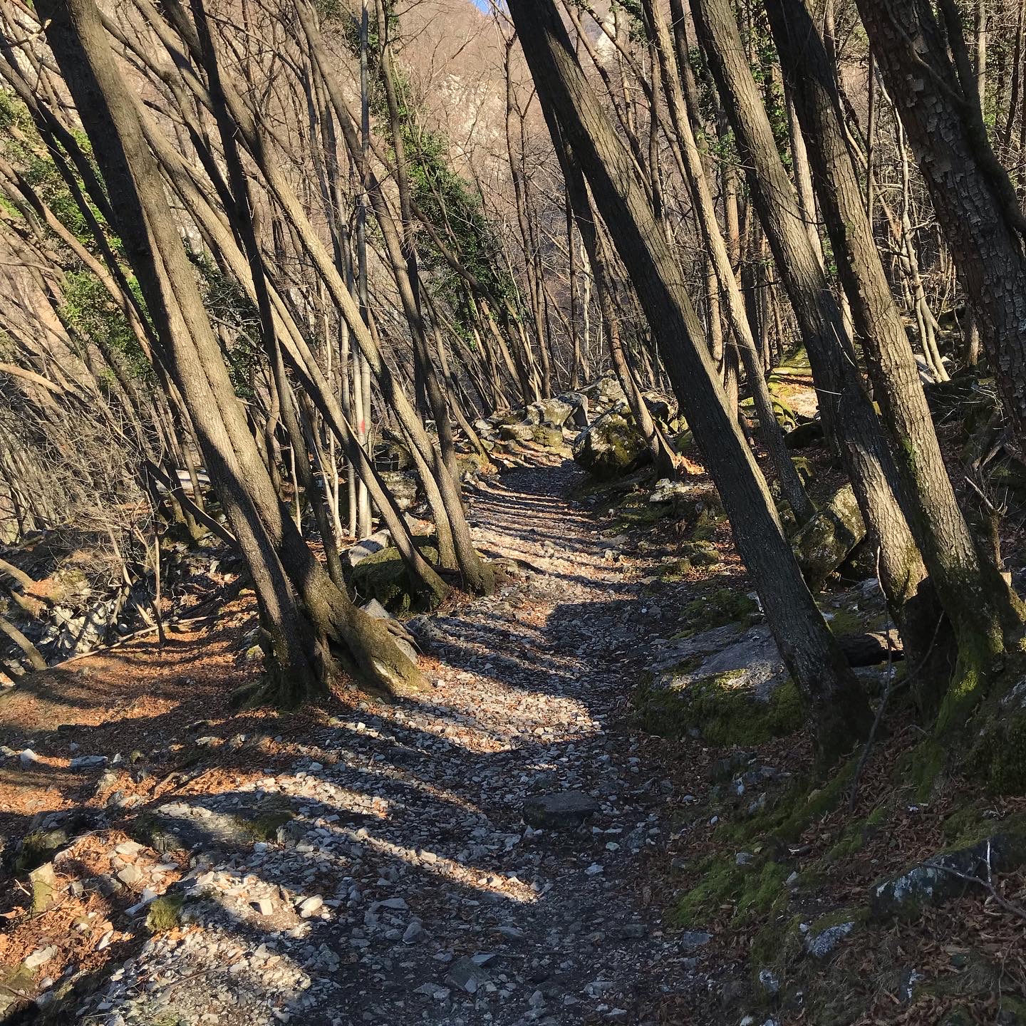 Passeggiata alla Cascata del Botto