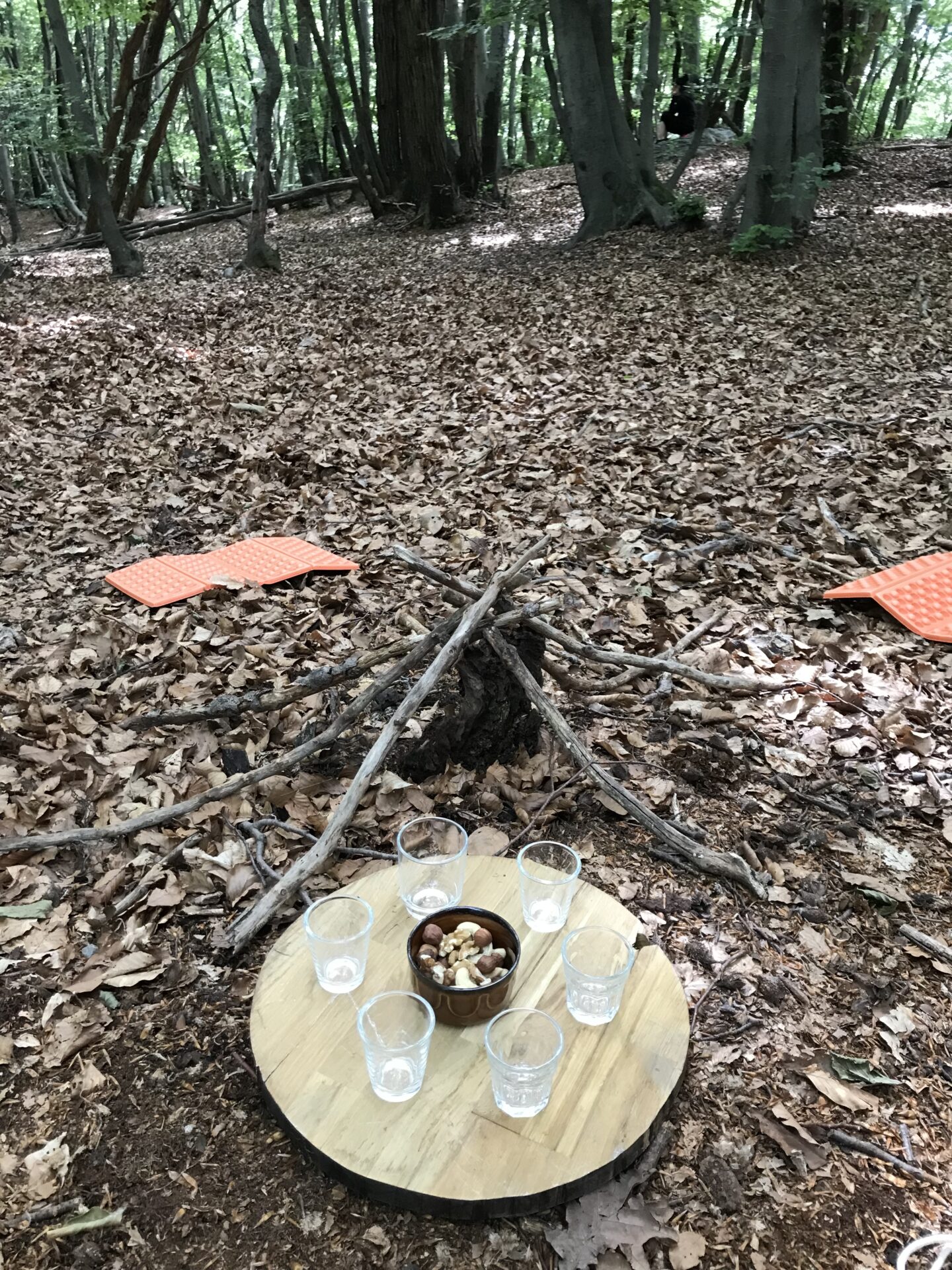 Forest Bathing, team building con Barbara Botticchio, Ticino